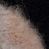 240477-2 Cashmere and Mink