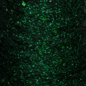 Nano Paillettes