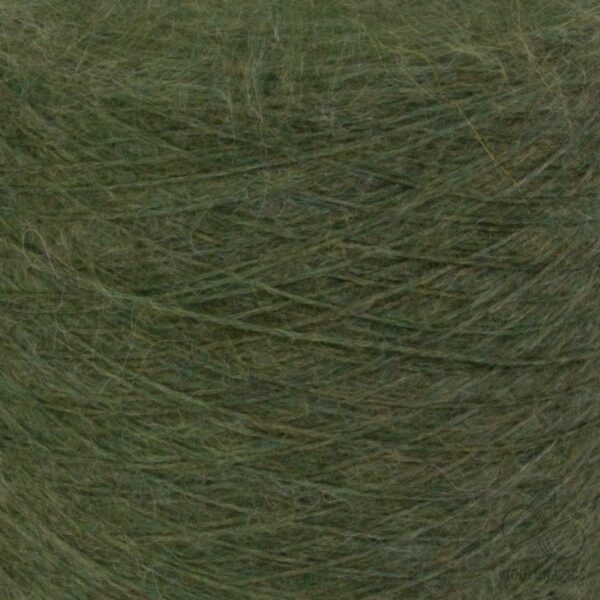 Chinchilla Baby Suri