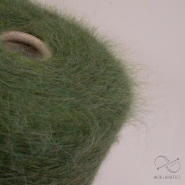 Chinchilla Baby Suri