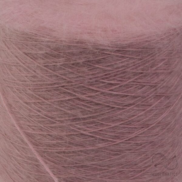 Chinchilla Baby Suri