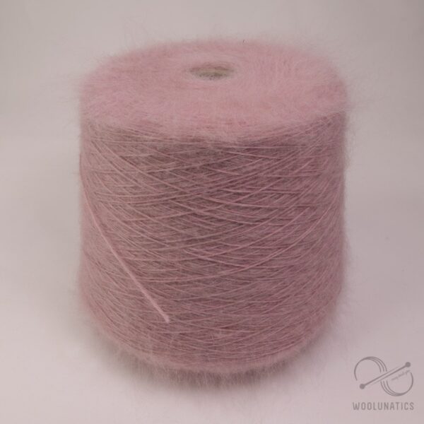 Chinchilla Baby Suri